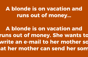 A blonde is on vacation and runs out of money…